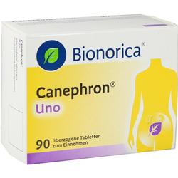 Packung von Tabletten gegen Blasen- und Nierenprobleme, mit einer Figur und Pflanzensymbol.